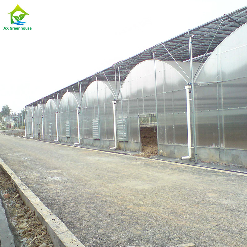Estrutura de aço Filtro resistente aos raios UV Túnel poli-multi-span Estufas vegetais para tomates