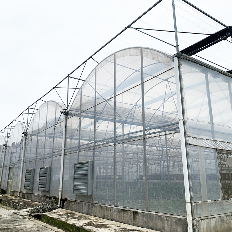 Estrutura de aço Filtro resistente aos raios UV Túnel poli-multi-span Estufas vegetais para tomates