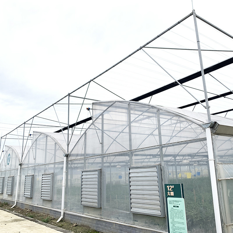 Estrutura de aço Dentes de serra Filme poliéster de túnel baixo Estufas agrícolas para produção sustentável de vegetais