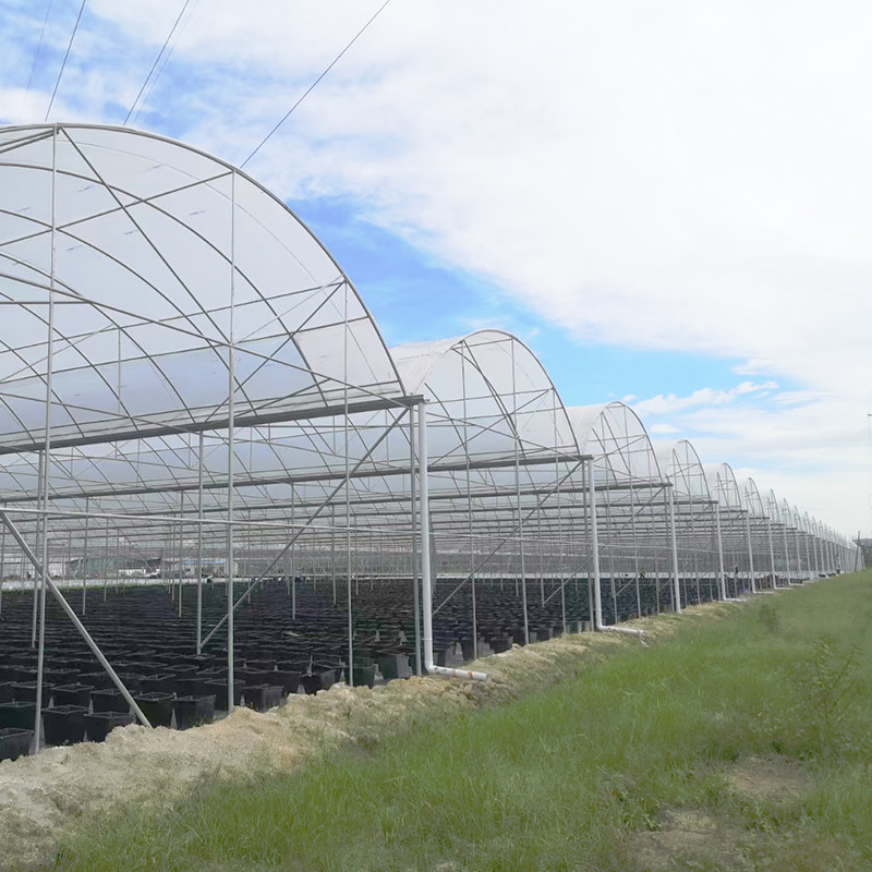 Estufas de plástico resistentes aos raios UV de 30x10m para tomates e vegetais com cobertura de filme