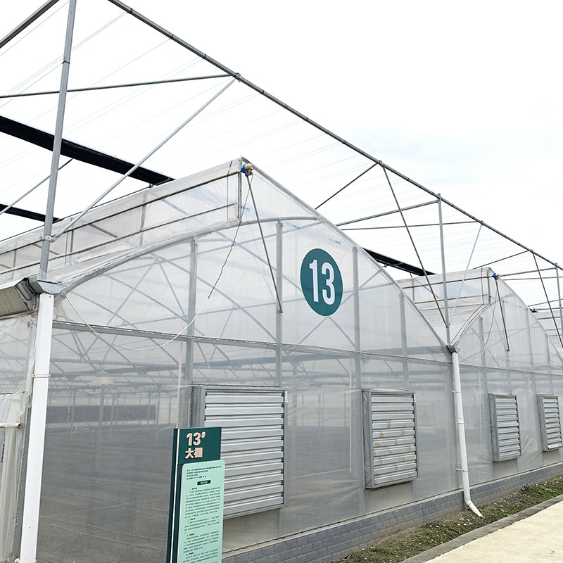Estrutura de aço Dentes de serra Filme poliéster de túnel baixo Estufas agrícolas para produção sustentável de vegetais