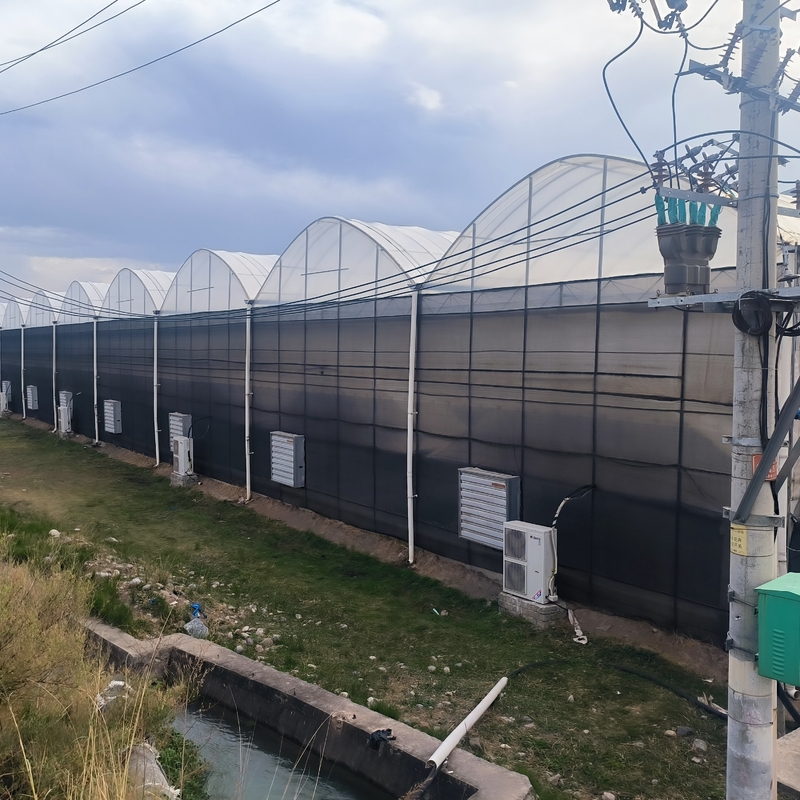 Estrutura de aço Agricultura Túnel poli negro sombreado Estufas multi-span com sistema de refrigeração opcional