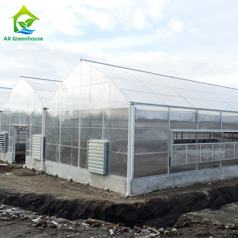 Plantas de cultivo Single Span Policarbonato PC Folha Estufa com estrutura estável e fácil montagem