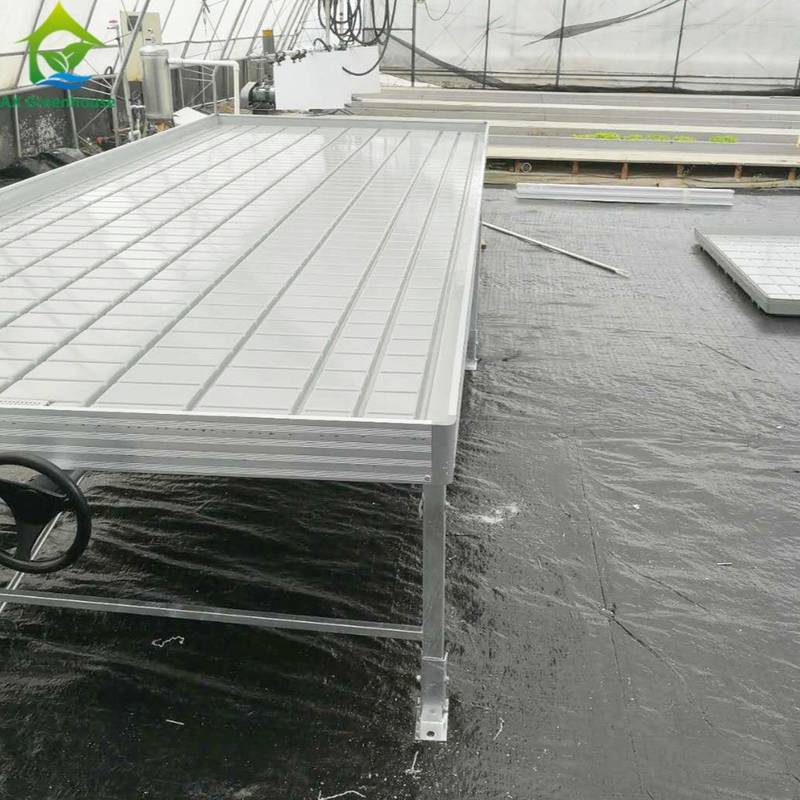 Bancos rolantes de estufa Tabela de cultivo para planta de tomate Sementes Sistema de irrigação de fluxo e fluxo