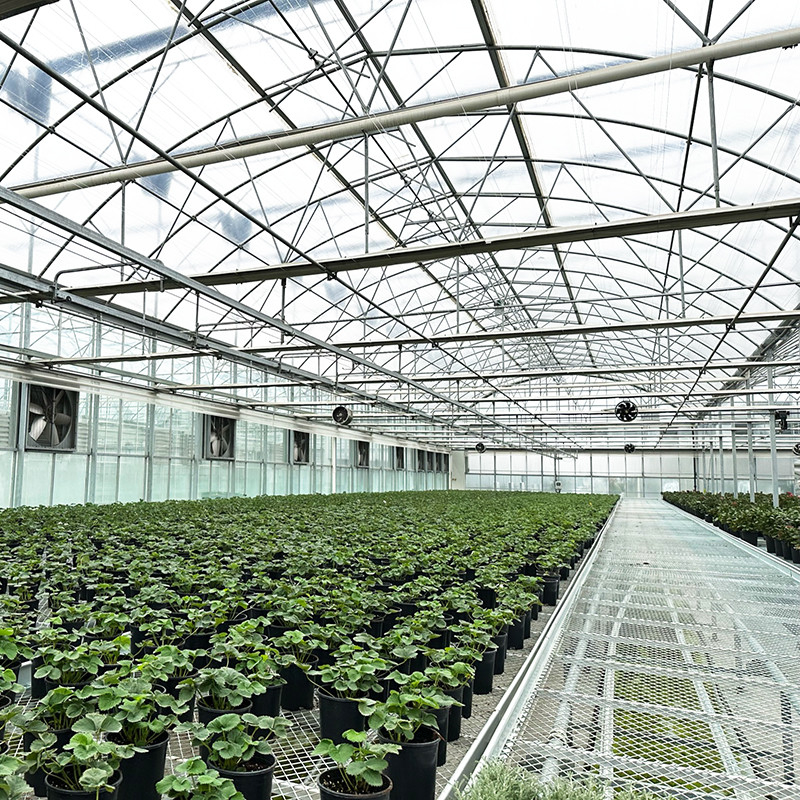 Estrutura de aço Filtro resistente aos raios UV Túnel poli-multi-span Estufas vegetais para tomates