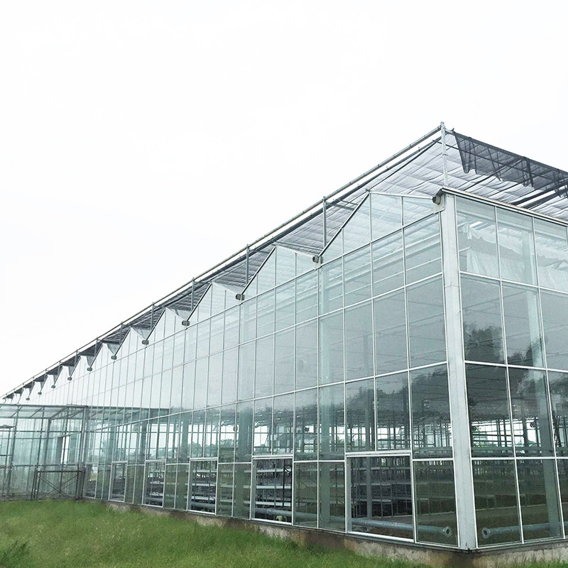 9.6m/10.8m/12m Largura Alumínio Corpo de Ligação de Vidro Agrícola Venlo Estufa Multi-span Com Triângulo Moldado teto