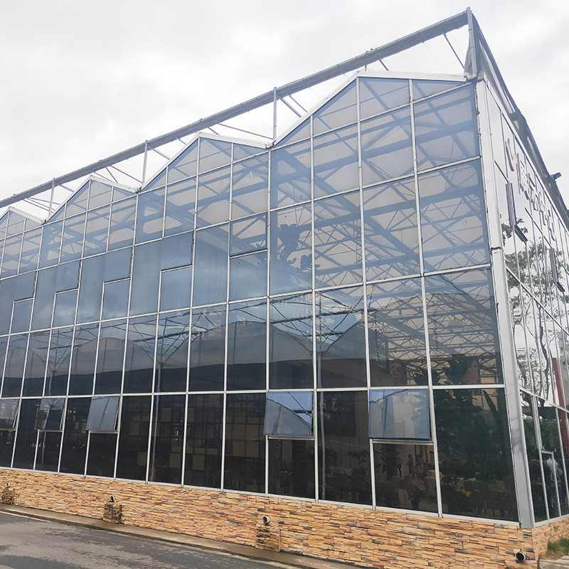 Estrutura de aço galvanizado a quente e cobertura de vidro reforçada para ventilação ideal em estufas de vidro agrícolas