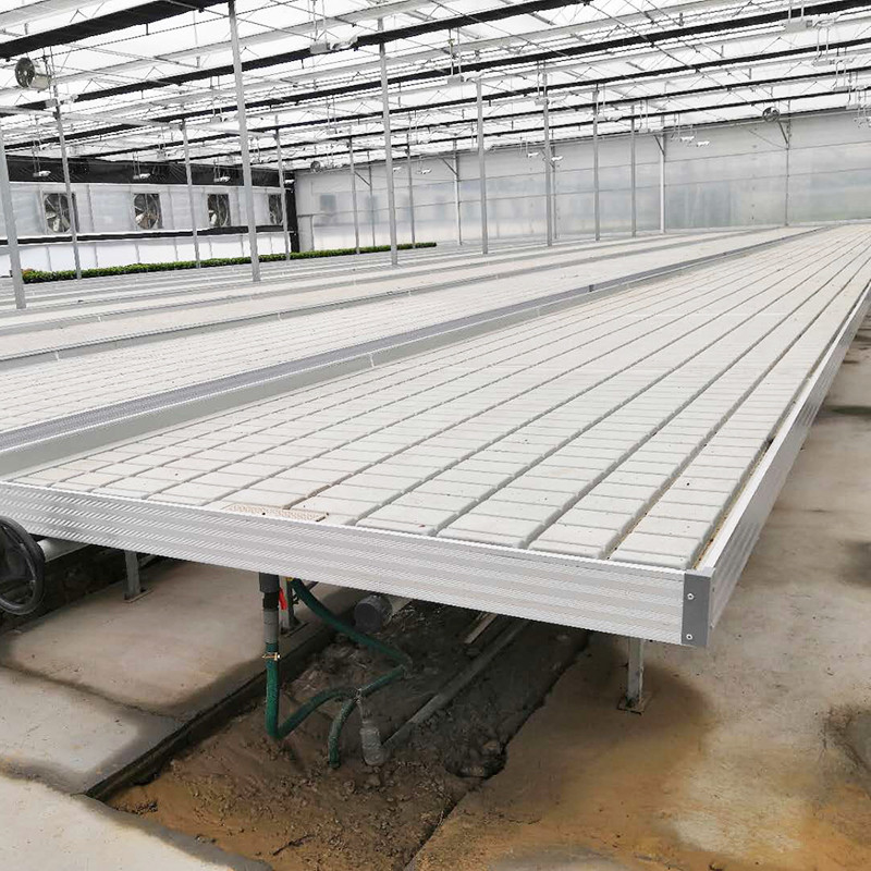 Ebb And Flow 4FT*8FT Vertical Hydroponic Movable Rolling Bench Grow Table com poste