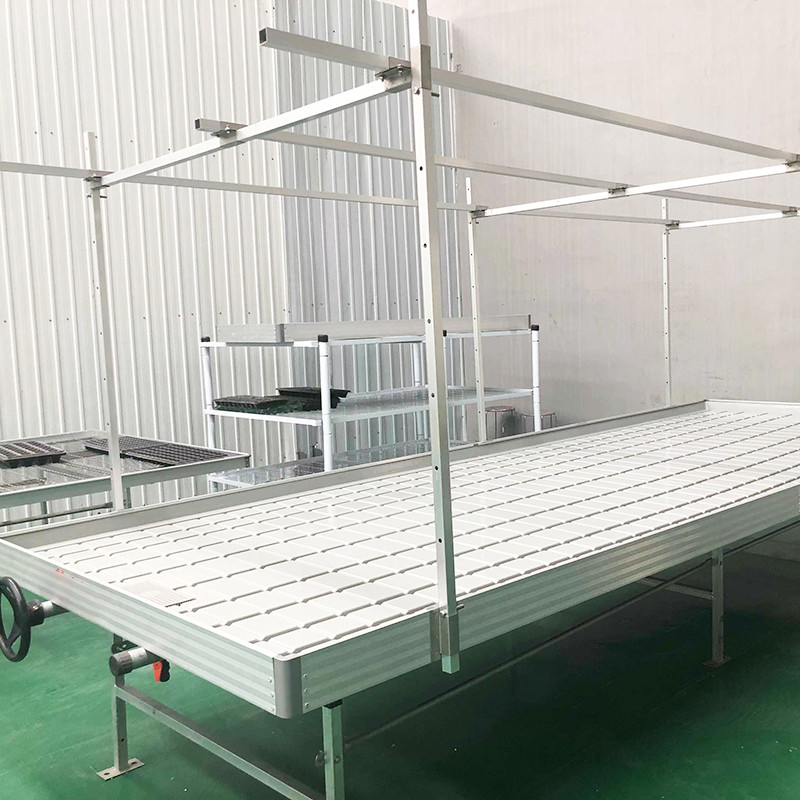 Tabela de crescimento de planta de tomate de tamanho personalizado