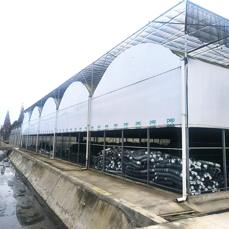 Tubo de aço galvanizado a quente Viveiro Multi-span Panda Film Blackout System Fungo Estufas tropicais