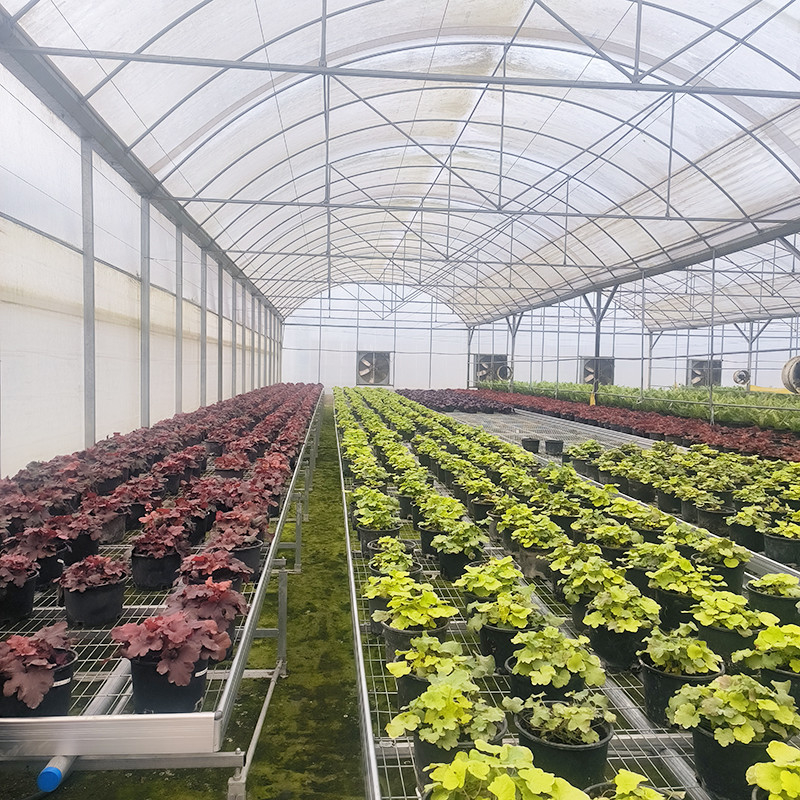 Venda a quente Estufas de filmes resistentes aos raios UV de túnel poliesterificado personalizado para tomate