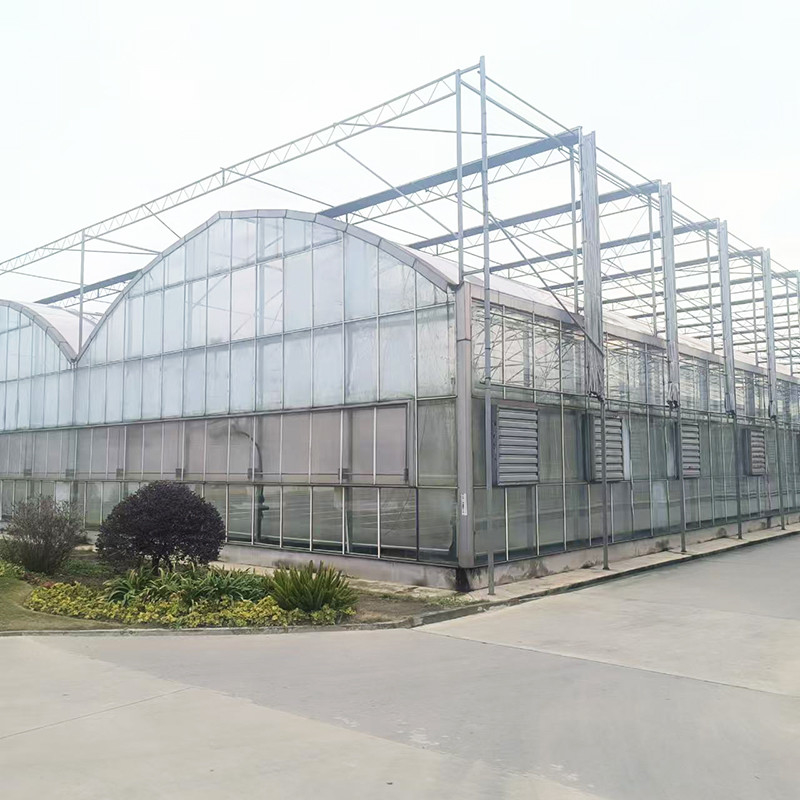 Indústria Agrícola Luxo Venlo Casa de Vidro Temperada Estufas Estufas Com Estrutura Estável E Sistema De Aquecimento