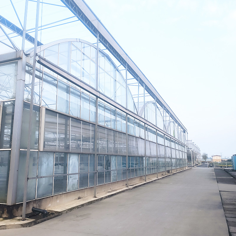Indústria Agrícola Luxo Venlo Casa de Vidro Temperada Estufas Estufas Com Estrutura Estável E Sistema De Aquecimento