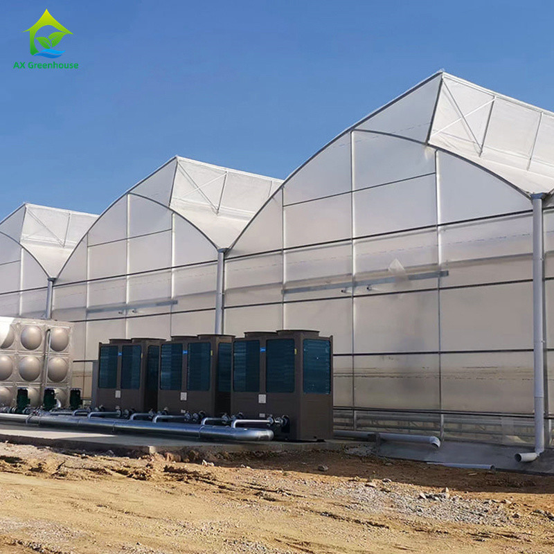 Filtro UV de plástico Poli-Túnel Agrícola Serra-dentes Multi-span Custom Estufas para Venda