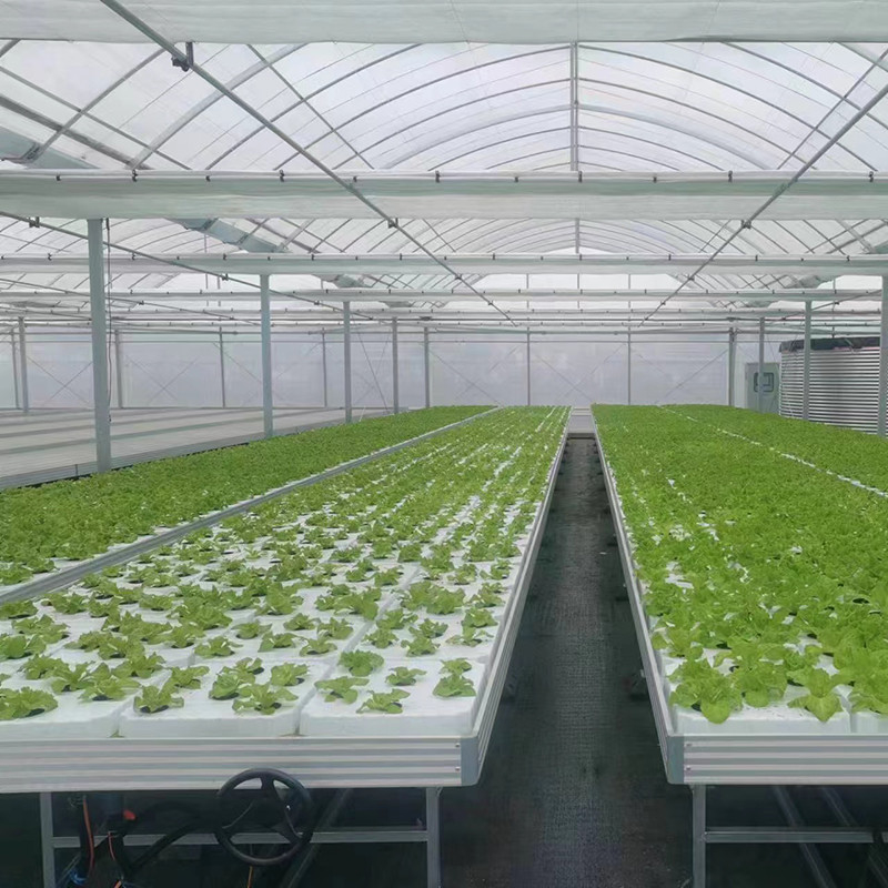 Horticultura Tabela de crescimento de estufa de tamanho personalizado Banco de rolamento de inundação de refluxo hidropônico