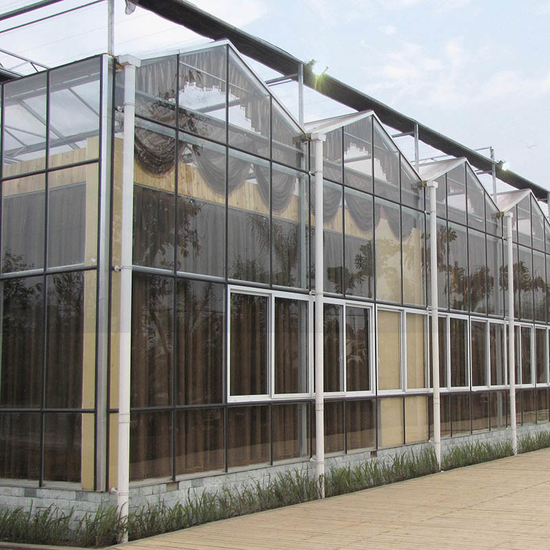 Estufas de tomate de vidro temperado de aço galvanizado multi-span Venlo para ótimas condições de crescimento