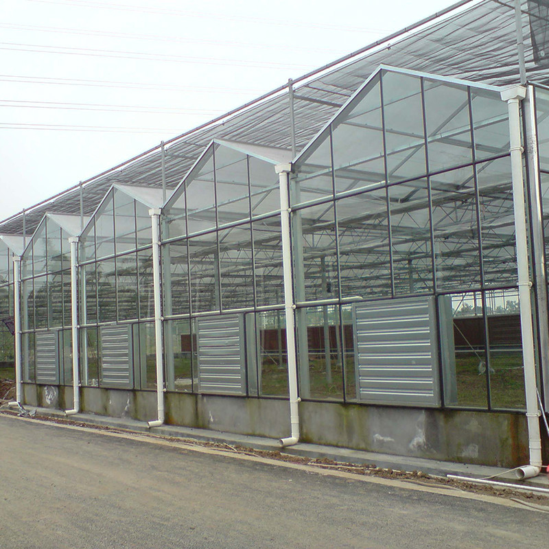 Estrutura de aço galvanizado a quente Ventilação automática Vidro agrícola Venlo Estufas de tomate