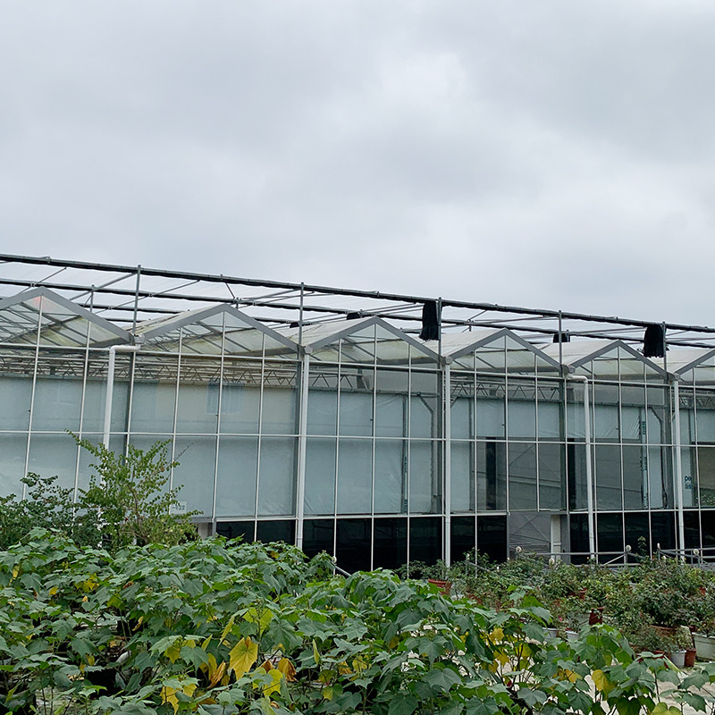 Estrutura de aço galvanizado a quente Ventilação automática Vidro agrícola Venlo Estufas de tomate