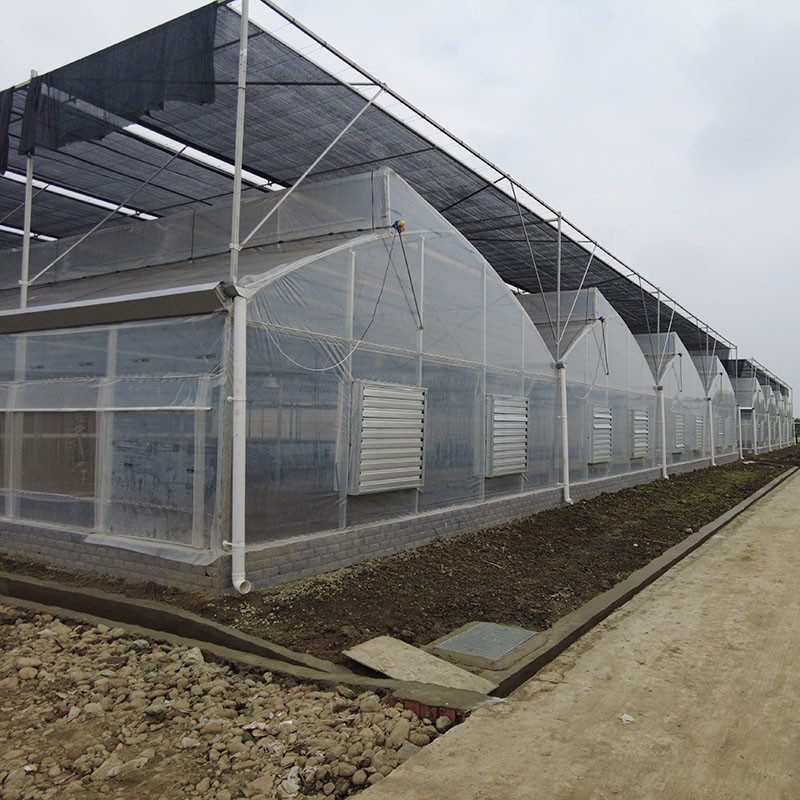 Filtro UV de plástico Poli-Túnel Agrícola Serra-dentes Multi-span Custom Estufas para Venda