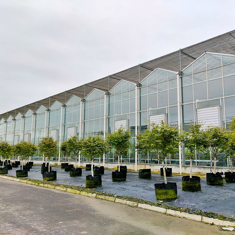 Estrutura de aço galvanizado a quente Ventilação automática Vidro agrícola Venlo Estufas de tomate