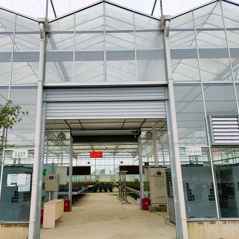 Estrutura de aço galvanizado a quente Ventilação automática Vidro agrícola Venlo Estufas de tomate