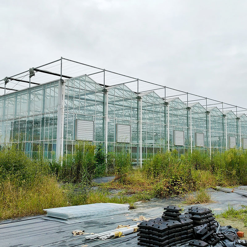 Estrutura de aço galvanizado a quente Ventilação automática Vidro agrícola Venlo Estufas de tomate