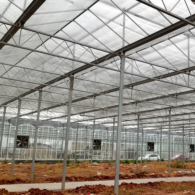 Ventilação automática Vidro agrícola Venlo Estufas de tomate com sistema de arrefecimento e sistema de ventilador