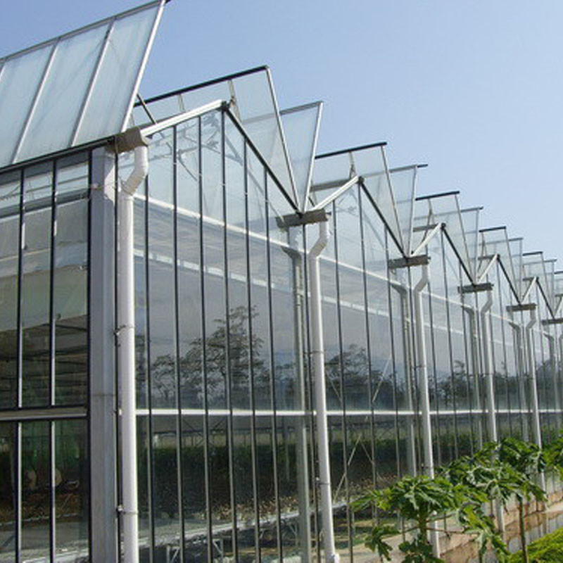 Ventilação automática Vidro agrícola Venlo Estufas de tomate com sistema de arrefecimento e sistema de ventilador