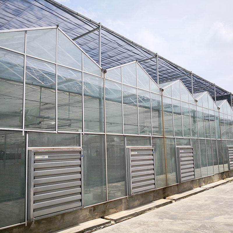 Ventilação automática Vidro agrícola Venlo Estufas de tomate com sistema de arrefecimento e sistema de ventilador