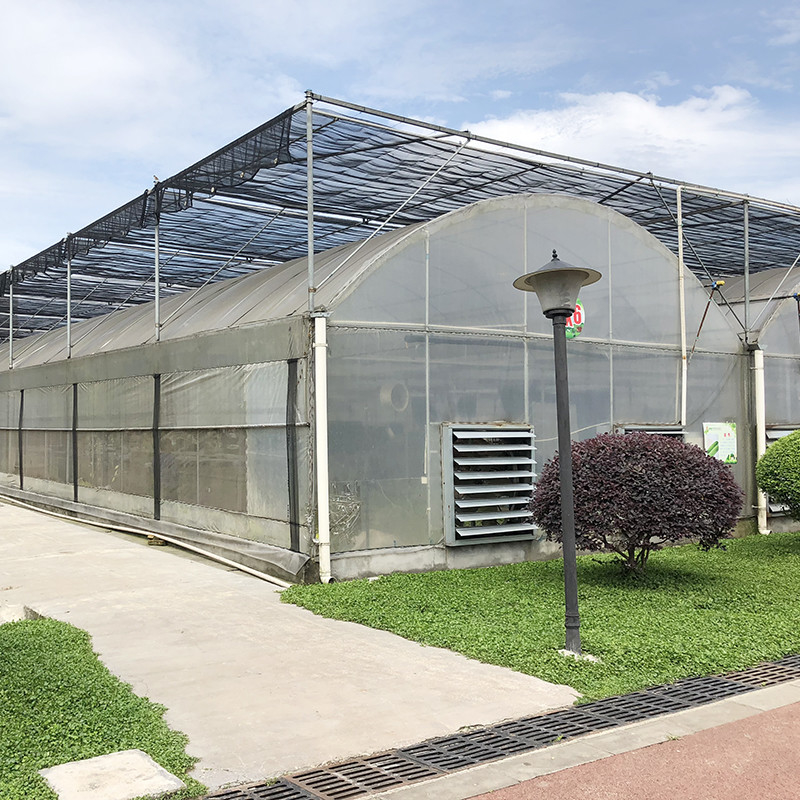 Estrutura de aço grande túnel personalizado multi-span de plástico blueberry crescimento estufas para estrutura estável