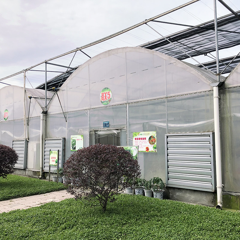 Estrutura de aço grande túnel personalizado multi-span de plástico blueberry crescimento estufas para estrutura estável