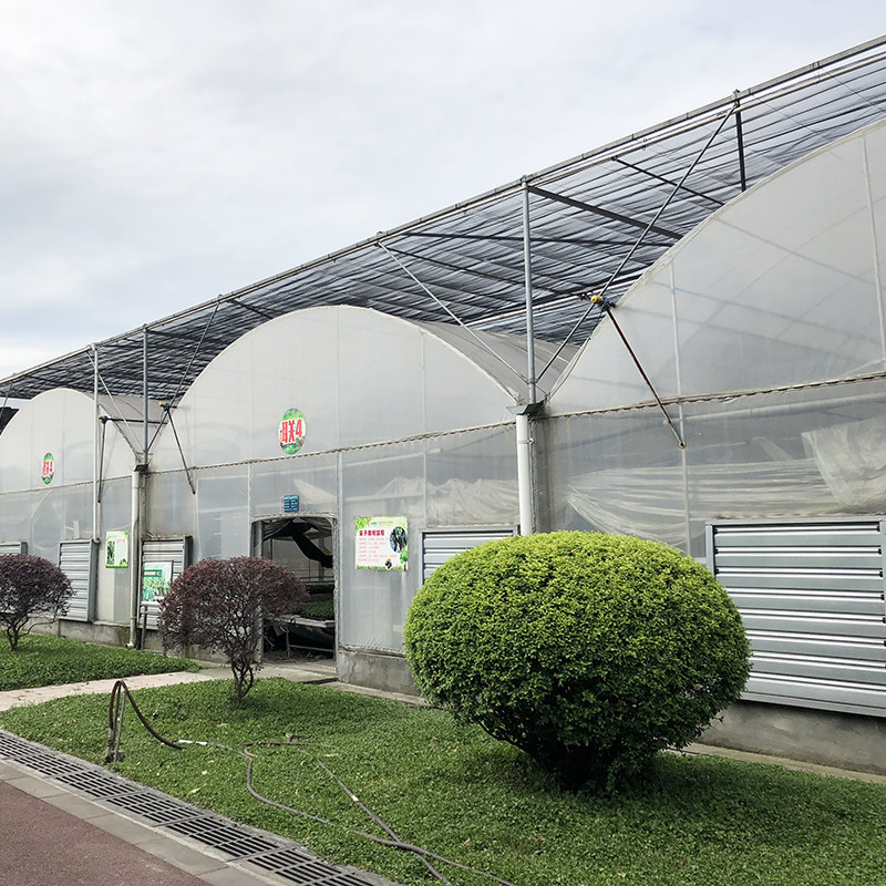 Estrutura de aço grande túnel personalizado multi-span de plástico blueberry crescimento estufas para estrutura estável