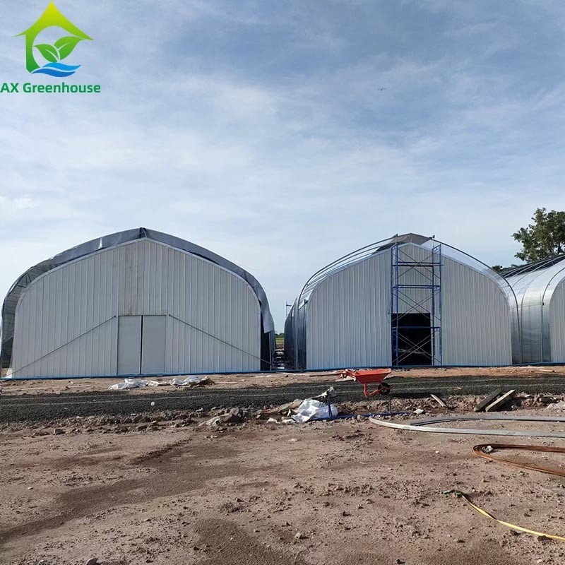 Tenda de Estufas de Película de Espaçamento Único para Agricultura Comercial