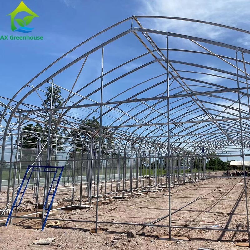 Tenda de Estufas de Película de Espaçamento Único para Agricultura Comercial