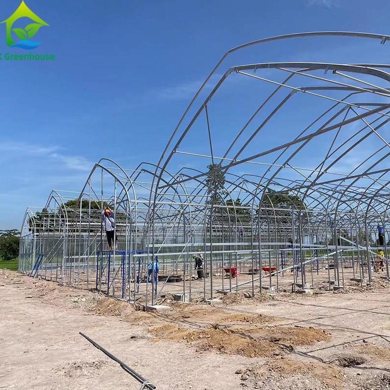 Tenda de Estufas de Película de Espaçamento Único para Agricultura Comercial