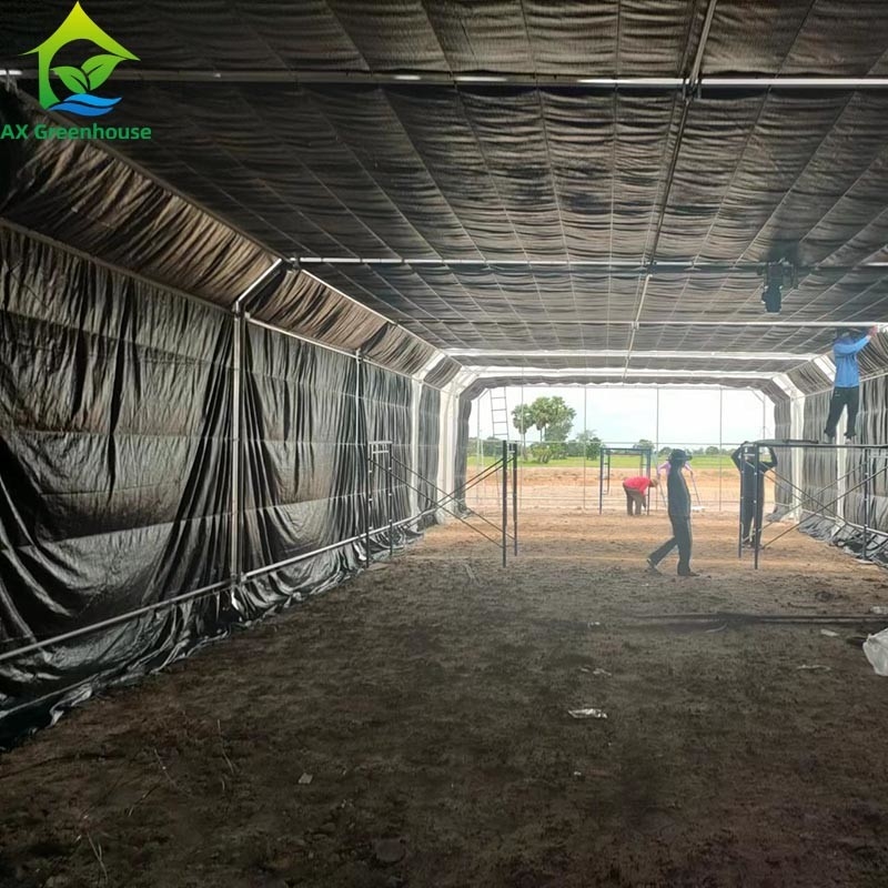 Tenda de Estufas de Película de Espaçamento Único para Agricultura Comercial