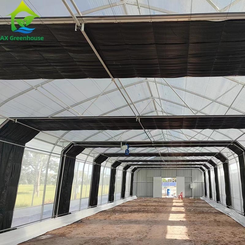 Tenda de Estufas de Película de Espaçamento Único para Agricultura Comercial