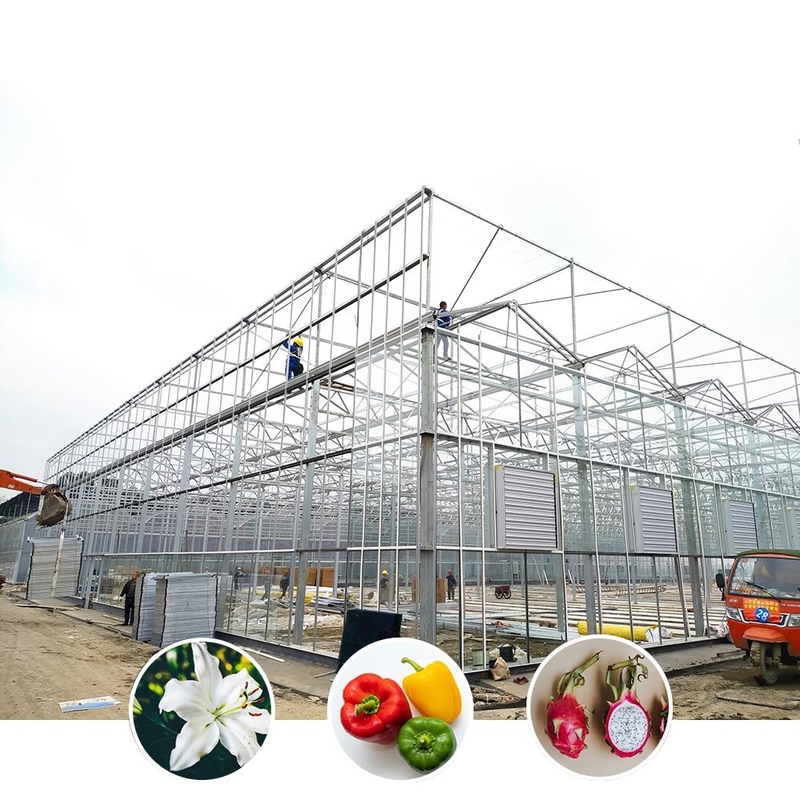 Solução para agricultura em todos os climas Estrutura estável Estufa com aço galvanizado a quente e vidro comercial