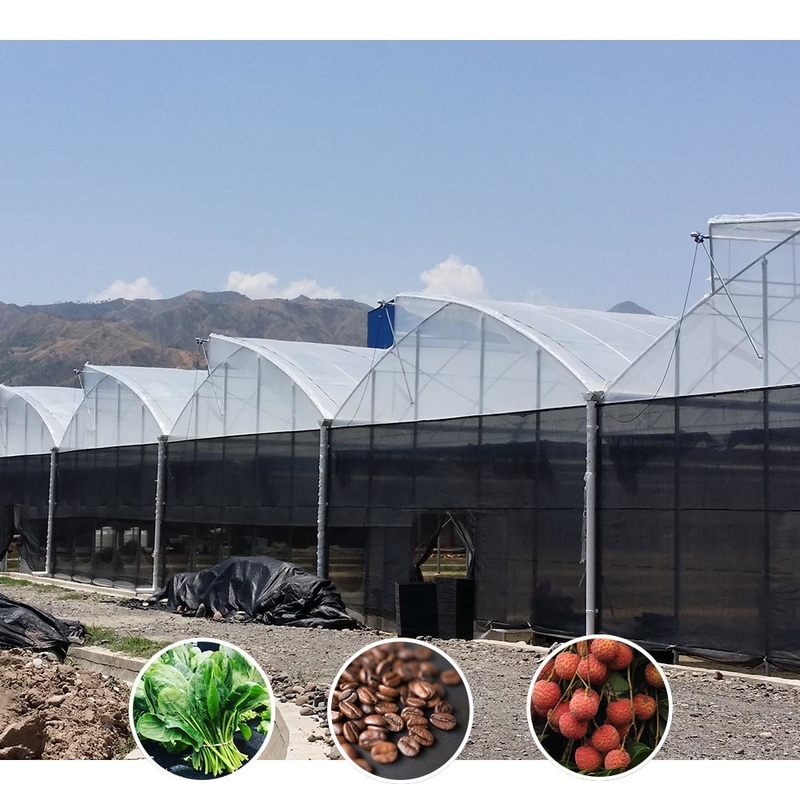 Filtro UV de plástico Poli-Túnel Agrícola Serra-dentes Multi-span Custom Estufas para Venda