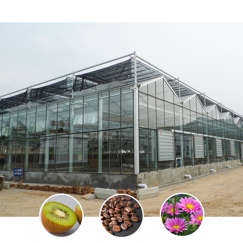 Solução para agricultura em todos os climas Estrutura estável Estufa com aço galvanizado a quente e vidro comercial