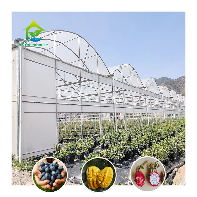 Estrutura de aço grande túnel personalizado multi-span de plástico blueberry crescimento estufas para estrutura estável