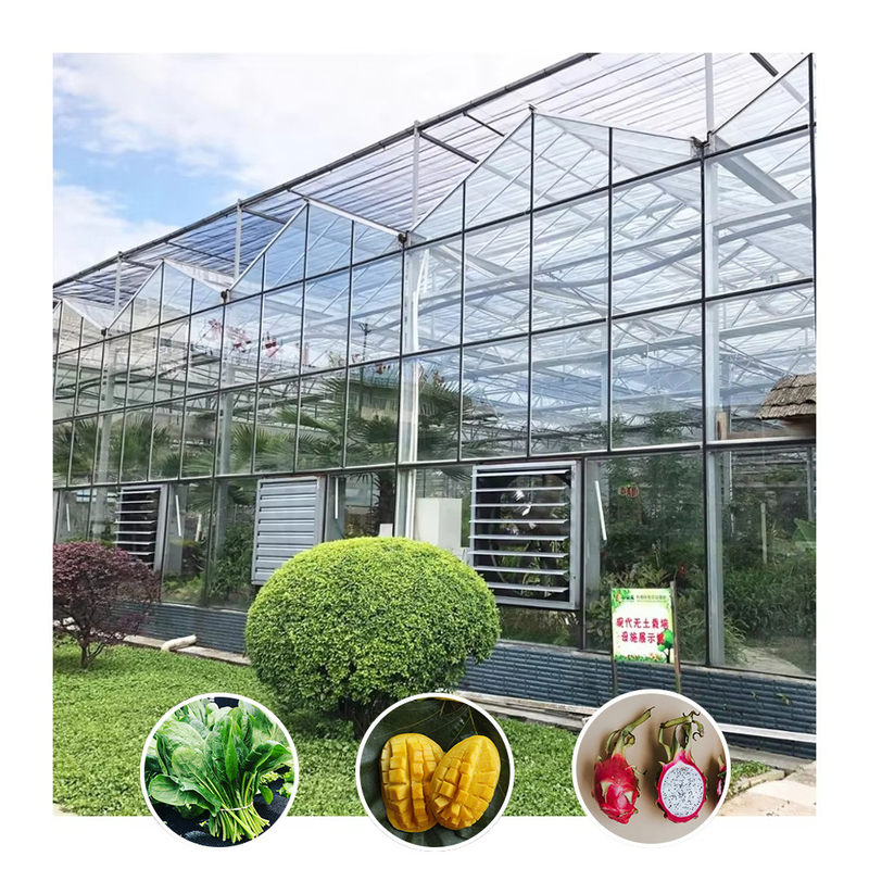 Galvanizado de tipo Venlo, grande túnel, estufa de vidro agrícola para flores
