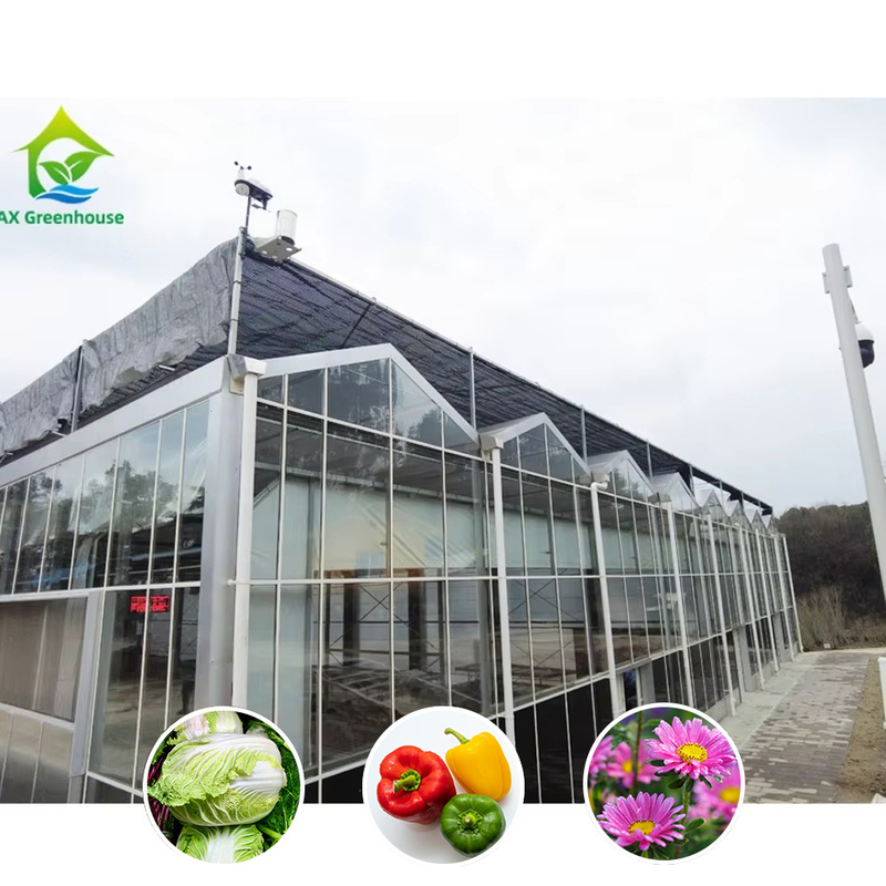 Estufas agrícolas de vidro de estilo Venlo com moldura triangular do telhado e ventilação lateral superior para ventilação