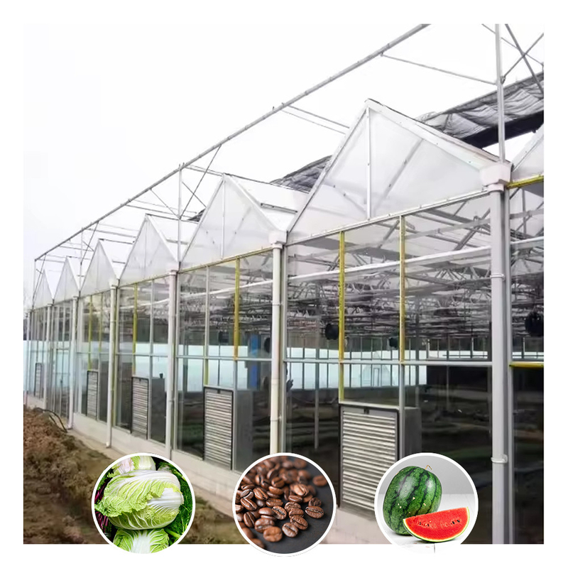 Galvanizado de tipo Venlo, grande túnel, estufa de vidro agrícola para flores