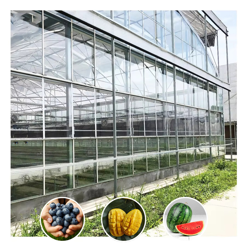 Galvanizado de tipo Venlo, grande túnel, estufa de vidro agrícola para flores