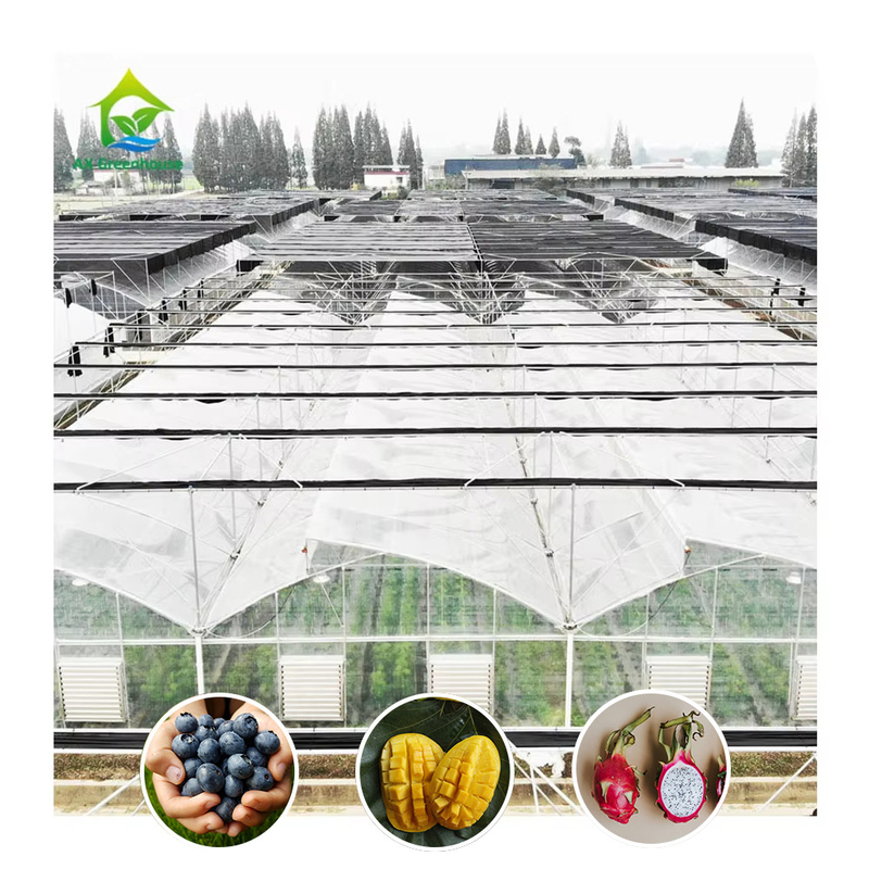 Estrutura de aço galvanizado a quente Multi-Span Film de plástico Estufas personalizadas com design de dente de serra de ventilação tropical