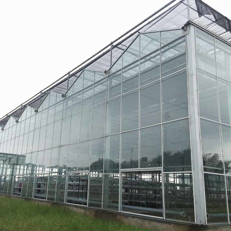 Estufas agrícolas de vidro de estilo Venlo com moldura triangular do telhado e ventilação lateral superior para ventilação