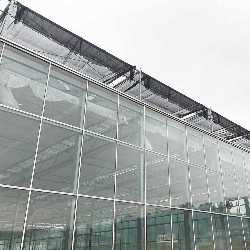 Estufa de vidro para cultivo de flores agrícolas de vários vãos tipo Venlo para semeadura