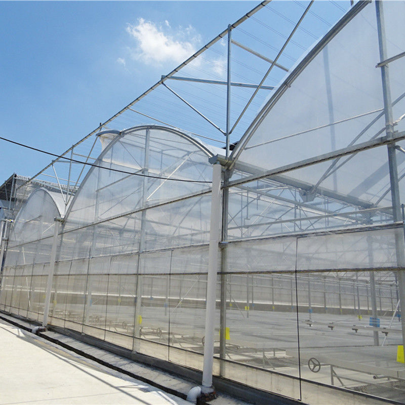 Filtro de plástico horticultural resistente aos raios UV Grande Poli-Túnel Multi-Span Estufas para vegetais