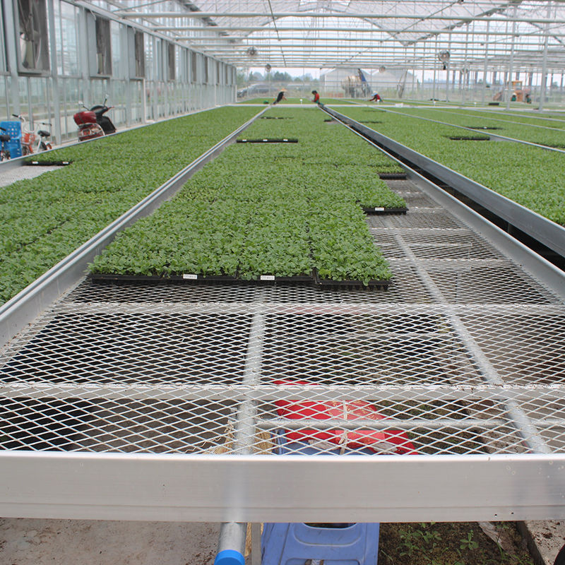 Bancada de cultivo rolante para estufa personalizada com vantagem de fácil construção e estrutura de aço galvanizado a quente